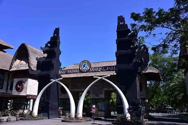 safari marine park tour